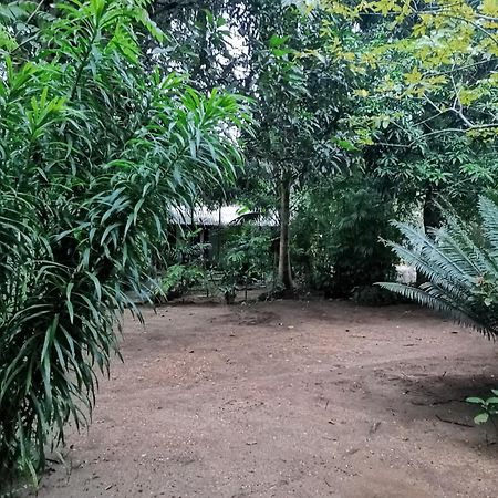 Sigiri Mango Garden Eco Resort Szigirija Kültér fotó