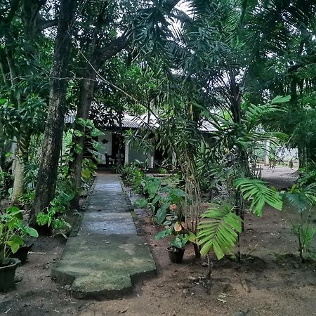 Sigiri Mango Garden Eco Resort Szigirija Kültér fotó