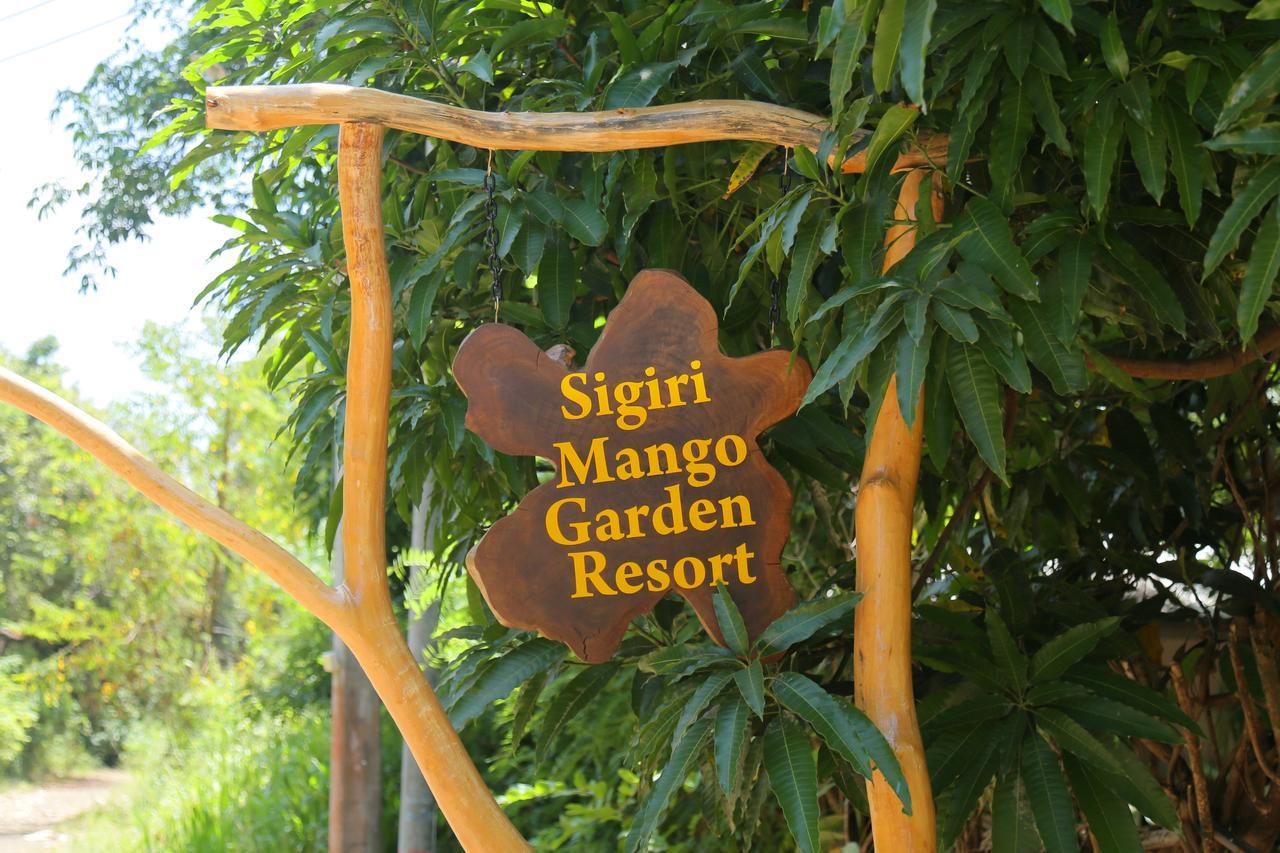 Sigiri Mango Garden Eco Resort Szigirija Kültér fotó