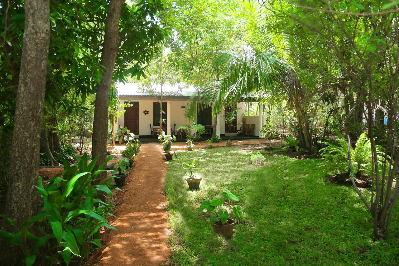 Sigiri Mango Garden Eco Resort Szigirija Kültér fotó
