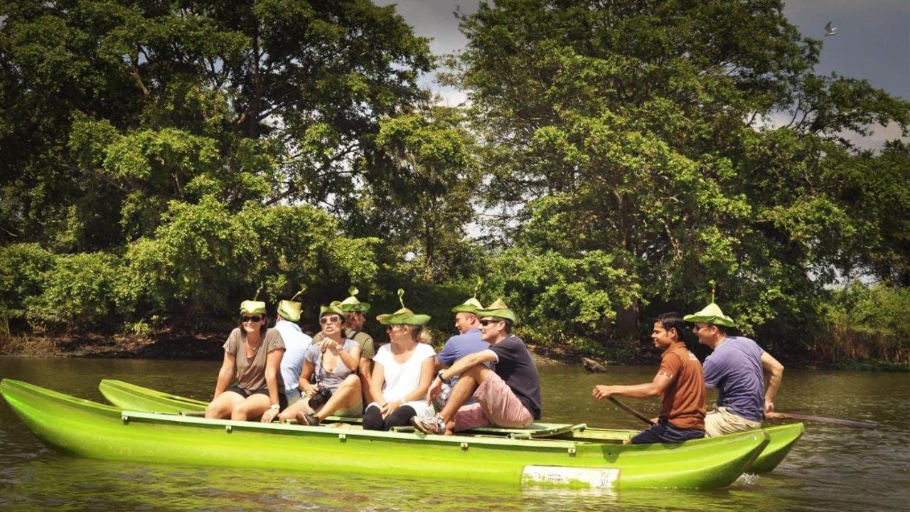 Sigiri Mango Garden Eco Resort Szigirija Kültér fotó