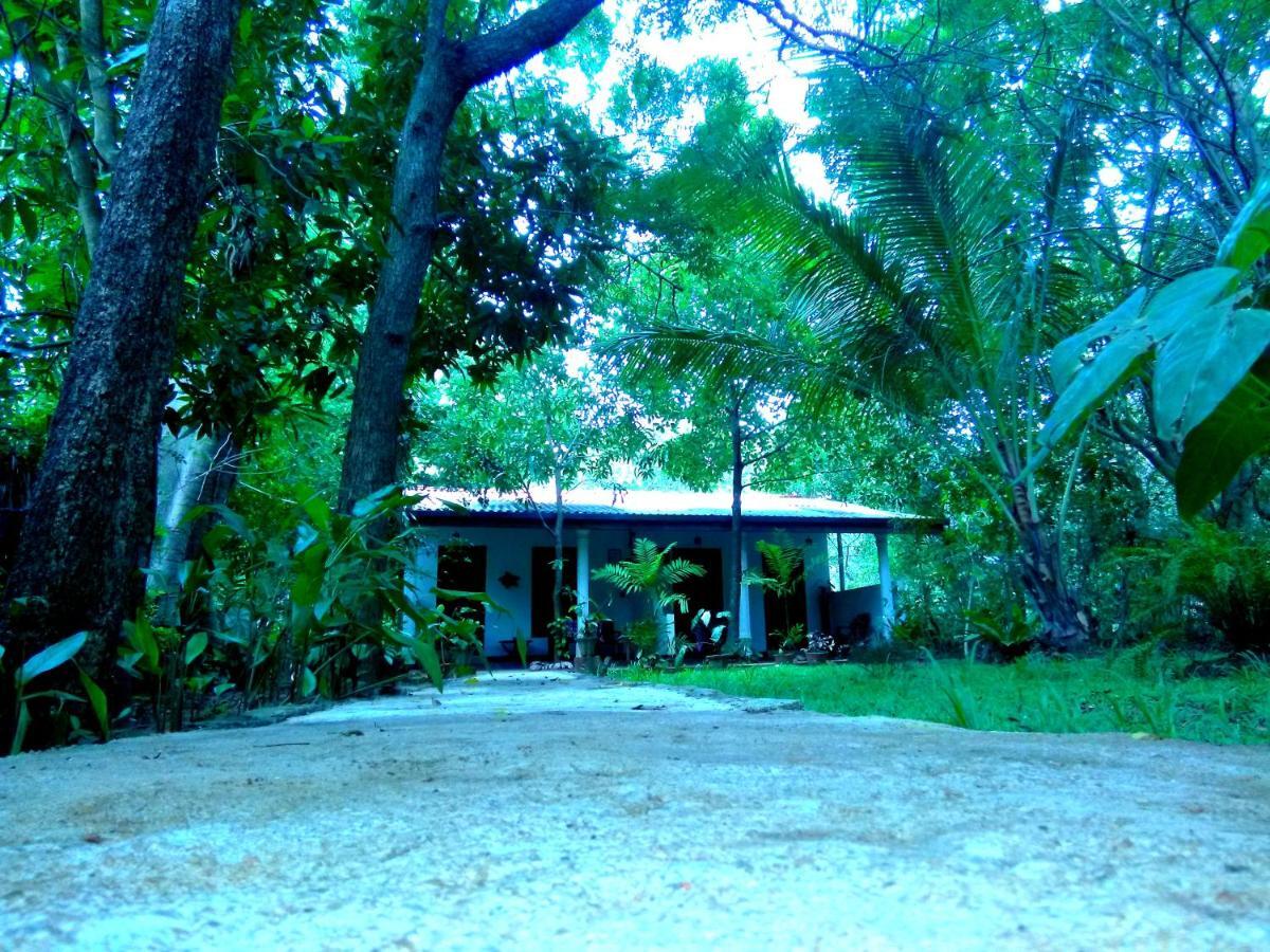 Sigiri Mango Garden Eco Resort Szigirija Kültér fotó
